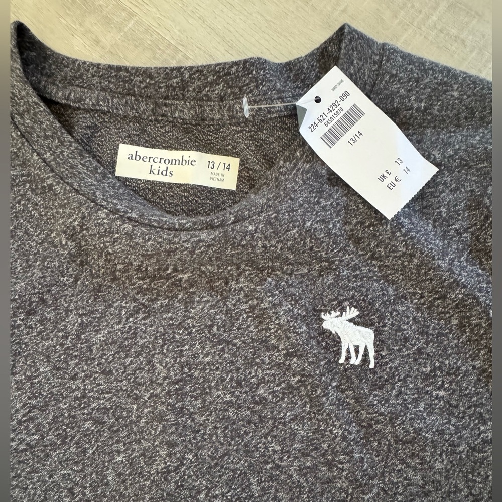 Abercrombie Kids Gray T-Shirt - Picture 2 of 3